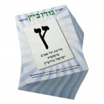 פלאייר בחירות